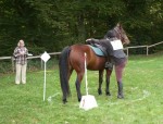 landean12 Daisy et Phoebus au montoir - TREC de Landéan 2009