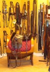 equipement-cheval-2