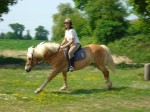 DSC00232 DSC00232