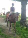 SAM_1594 SAM_1594