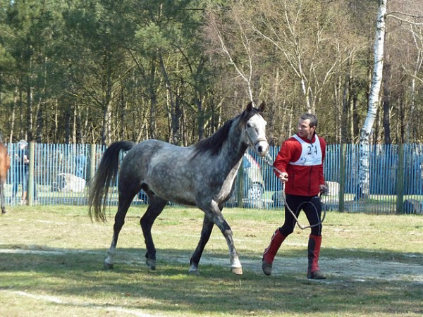<a href="http://www.aaciv.com/wp-content/uploads/2012/01/endurance2.jpg" target="_top">endurance2</a>