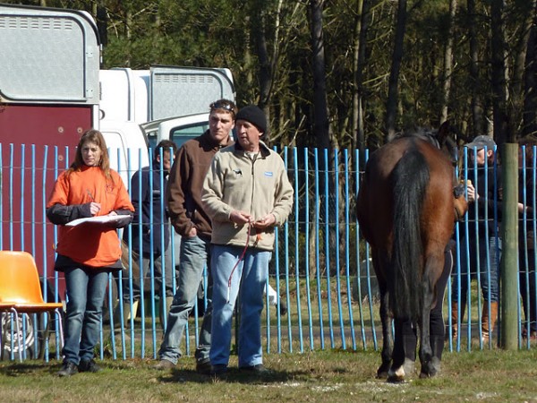 <a href="http://www.aaciv.com/wp-content/uploads/2012/01/endurance3.jpg" target="_top">endurance3</a>