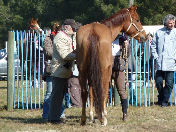 <a href="http://www.aaciv.com/wp-content/uploads/2012/01/endurance4.jpg" target="_top">endurance4</a>