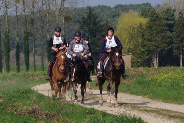 <a href="http://www.aaciv.com/wp-content/uploads/2012/01/endurance6.jpg" target="_top">endurance6</a>