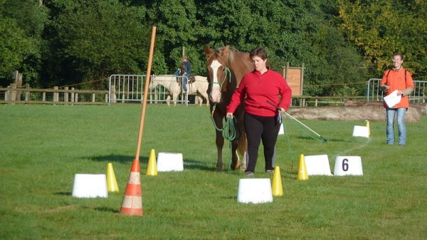 <a href="http://www.aaciv.com/wp-content/uploads/2012/01/fete-du-cheval1.jpg" target="_top">fete-du-cheval1</a>