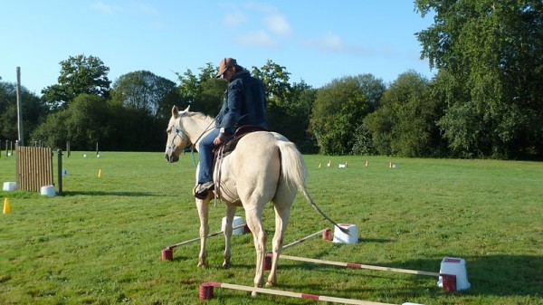 <a href="http://www.aaciv.com/wp-content/uploads/2012/01/fete-du-cheval2.jpg" target="_top">fete-du-cheval2</a>