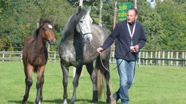 <a href="http://www.aaciv.com/wp-content/uploads/2012/01/fete-du-cheval4.jpg" target="_top">fete-du-cheval4</a>