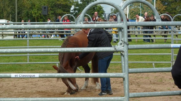 <a href="http://www.aaciv.com/wp-content/uploads/2012/01/fete-du-cheval6.jpg" target="_top">fete-du-cheval6</a>