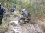 quad35 quad35