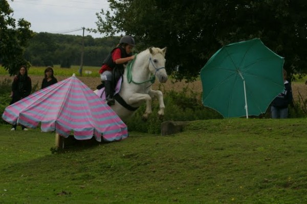 <a href="http://www.aaciv.com/wp-content/uploads/2012/01/tandem6.jpg" target="_top">SONY DSC</a>