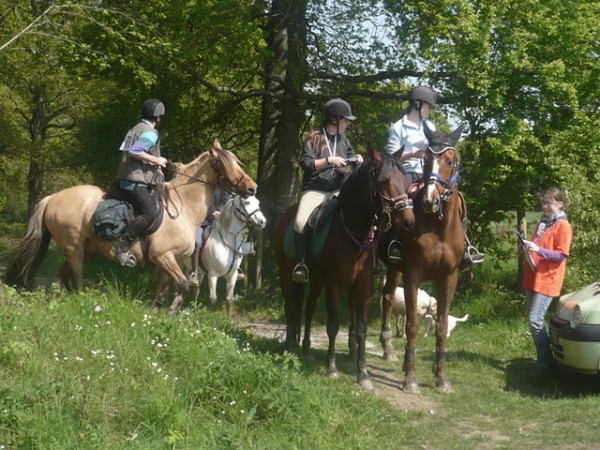 <a href="http://www.aaciv.com/wp-content/uploads/2012/01/trec2.jpg" target="_top">trec2</a>