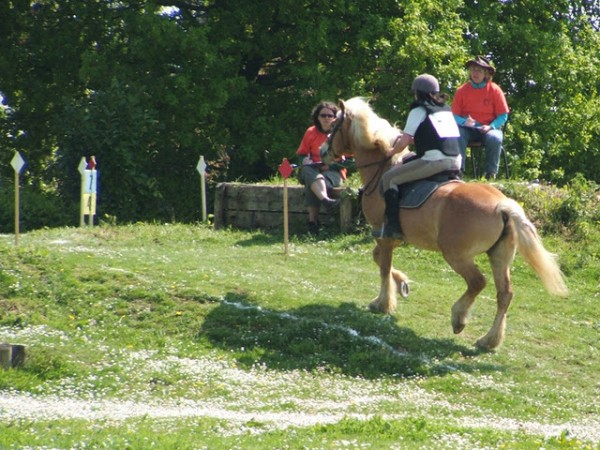 <a href="http://www.aaciv.com/wp-content/uploads/2012/01/trec6.jpg" target="_top">trec6</a>
