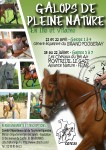 affiche-GPN-2012-CDTE35 affiche-GPN-2012-CDTE35
