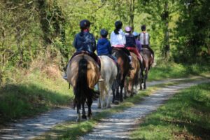 Randonner à cheval ou en attelage dans le massif forestier de Rennes