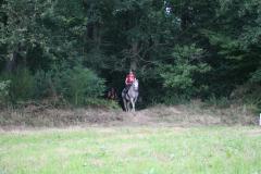 IMG_8447