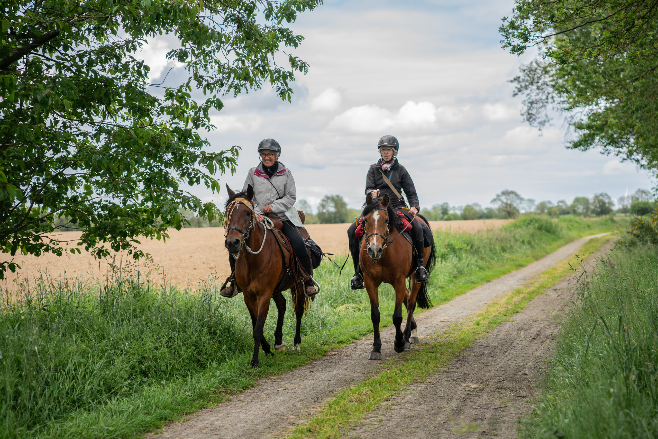 L'AACIV c'est quoi ?
